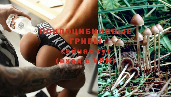 гидра Баксан