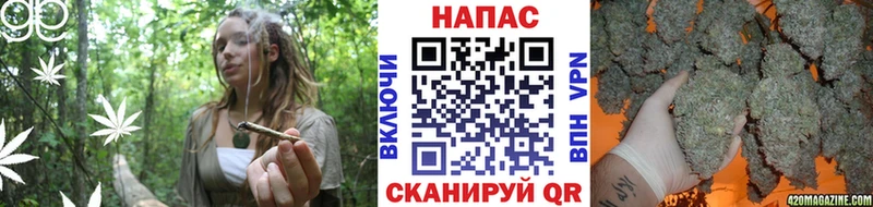 OMG ONION  Кольчугино  Бошки марихуана сатива 